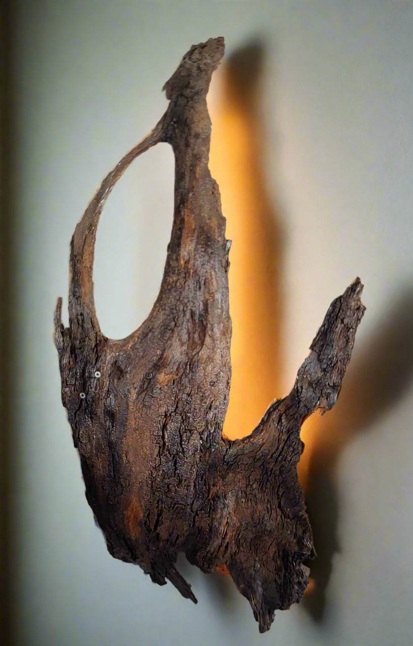 Driftwood Sconce Light. (one-of-a-kind)